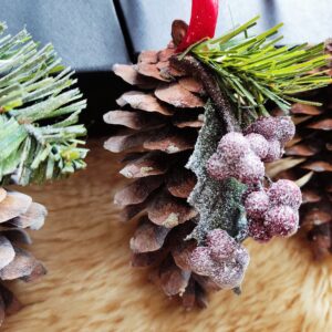 Jõuluehted suures kinkekarbis