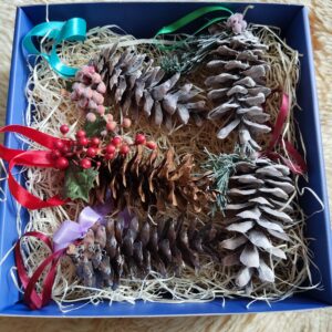 Jõuluehted kinkekarbis