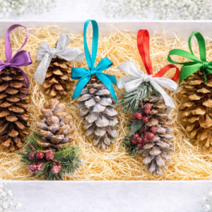 Jõuluehted suures kinkekarbis