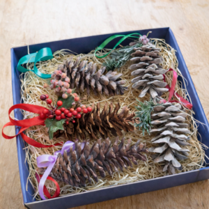 Jõuluehted kinkekarbis